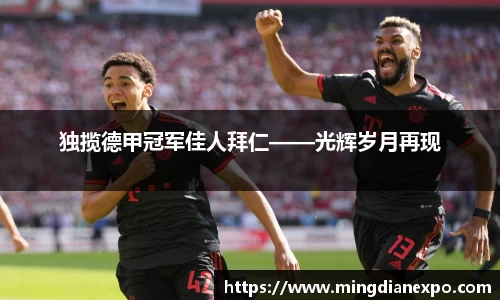 完美体育app下载安装