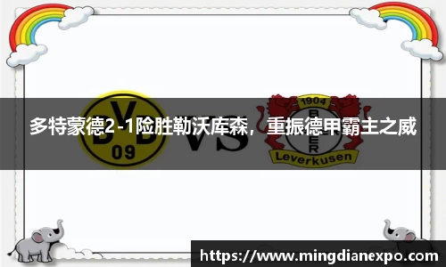 完美体育在线入口官网