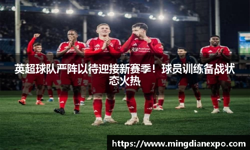 完美体育在线入口官网