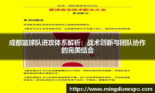 完美体育