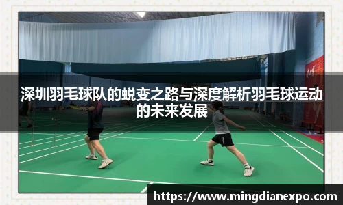 完美体育