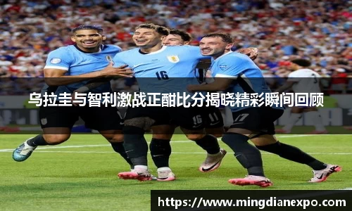完美体育在线入口官网