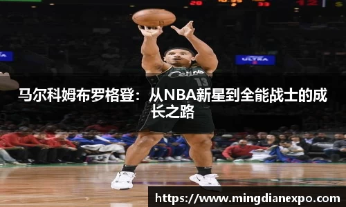 完美体育在线入口官网