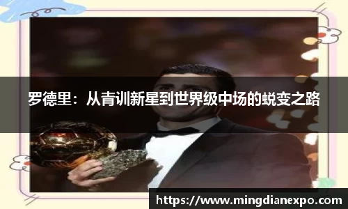 完美体育在线入口官网