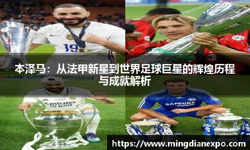 完美体育在线入口官网
