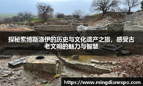 完美体育app下载安装