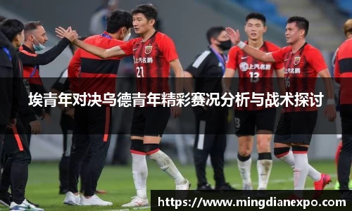 完美体育在线入口官网